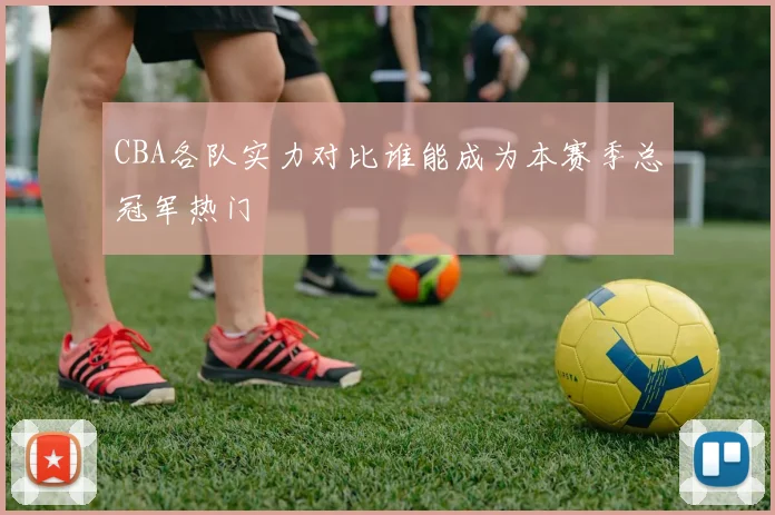 CBA各队实力对比谁能成为本赛季总冠军热门