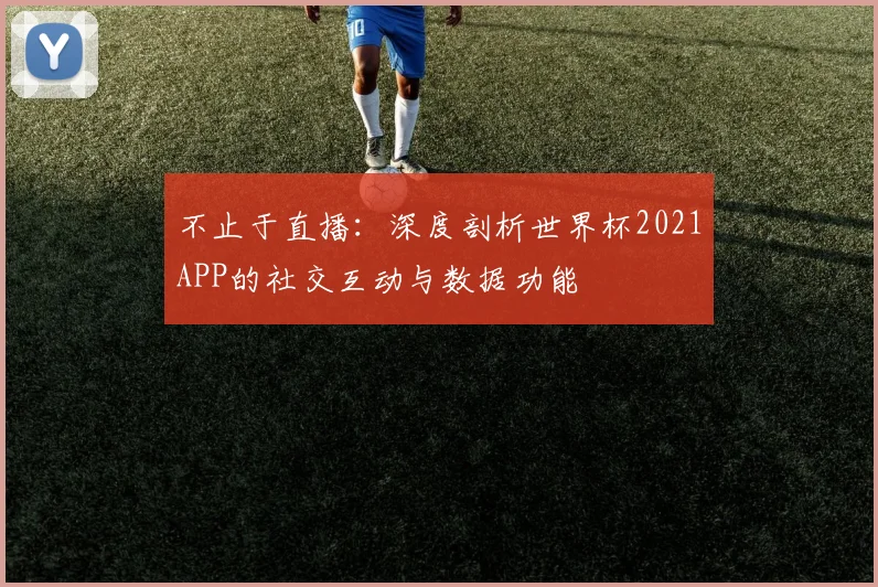不止于直播：深度剖析世界杯2021APP的社交互动与数据功能